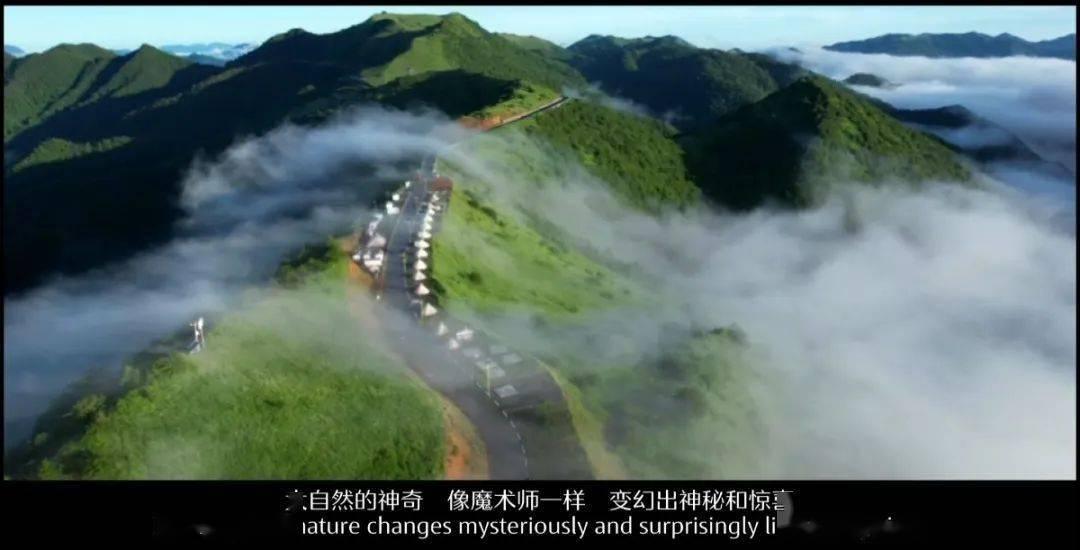 青年导演，寻找回来的世界